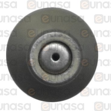 Injector Gn Ø0.45 Mm Marked Nº38