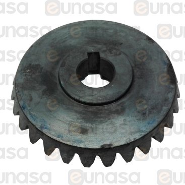 Conical Cog 29 F-COMPACT