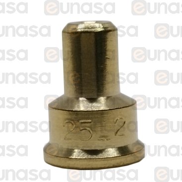 Ø 2x0.25mm Gn Injector For Burning